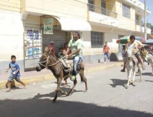 Piura: con la tradicional carrera de burros Catacaos celebra su aniversario de creación