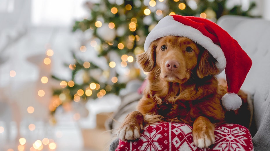 5 reasons why we desperately need Christmas, hope for the holiday and more Fox News Opinion
