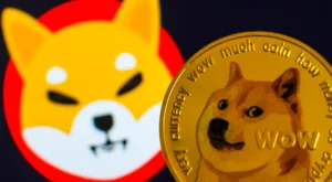 Dogecoin And Shiba Inu Gain Big As On-Chain Metrics Support Momentum: Here Are The Next SHIB And DOGE Price Levels